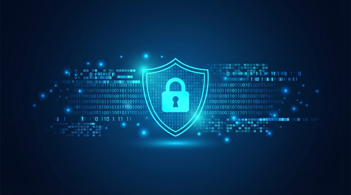 辁蜂加速器隐私安全保护